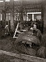 lavorazione della canapa